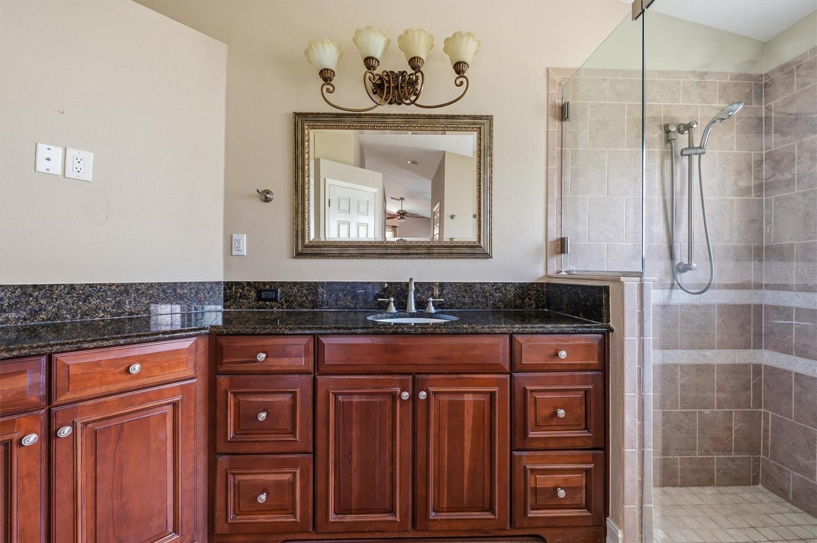 18806 CHEMILLE DR, LUTZ, FL, 33558