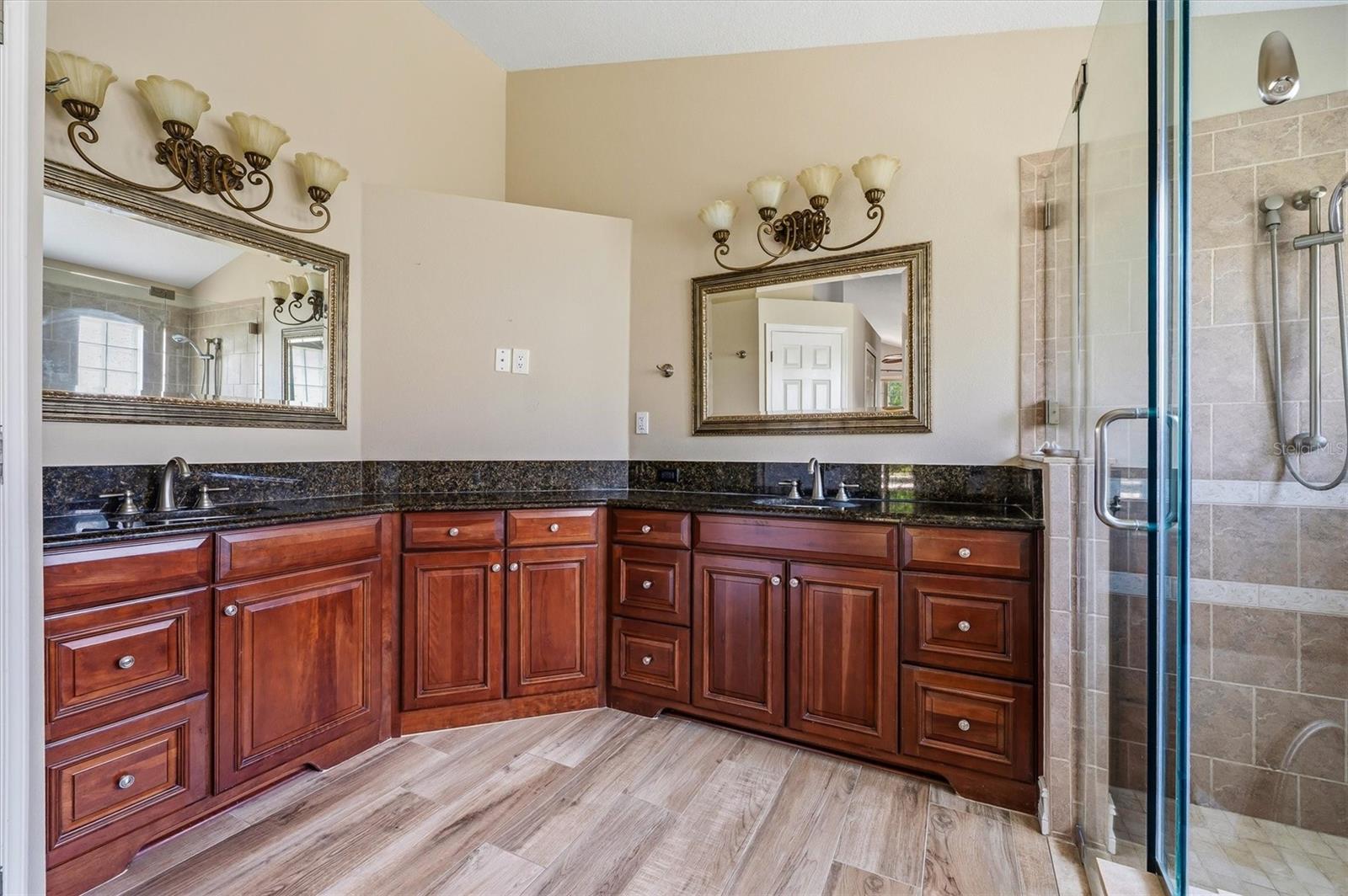 18806 CHEMILLE DR, LUTZ, FL, 33558