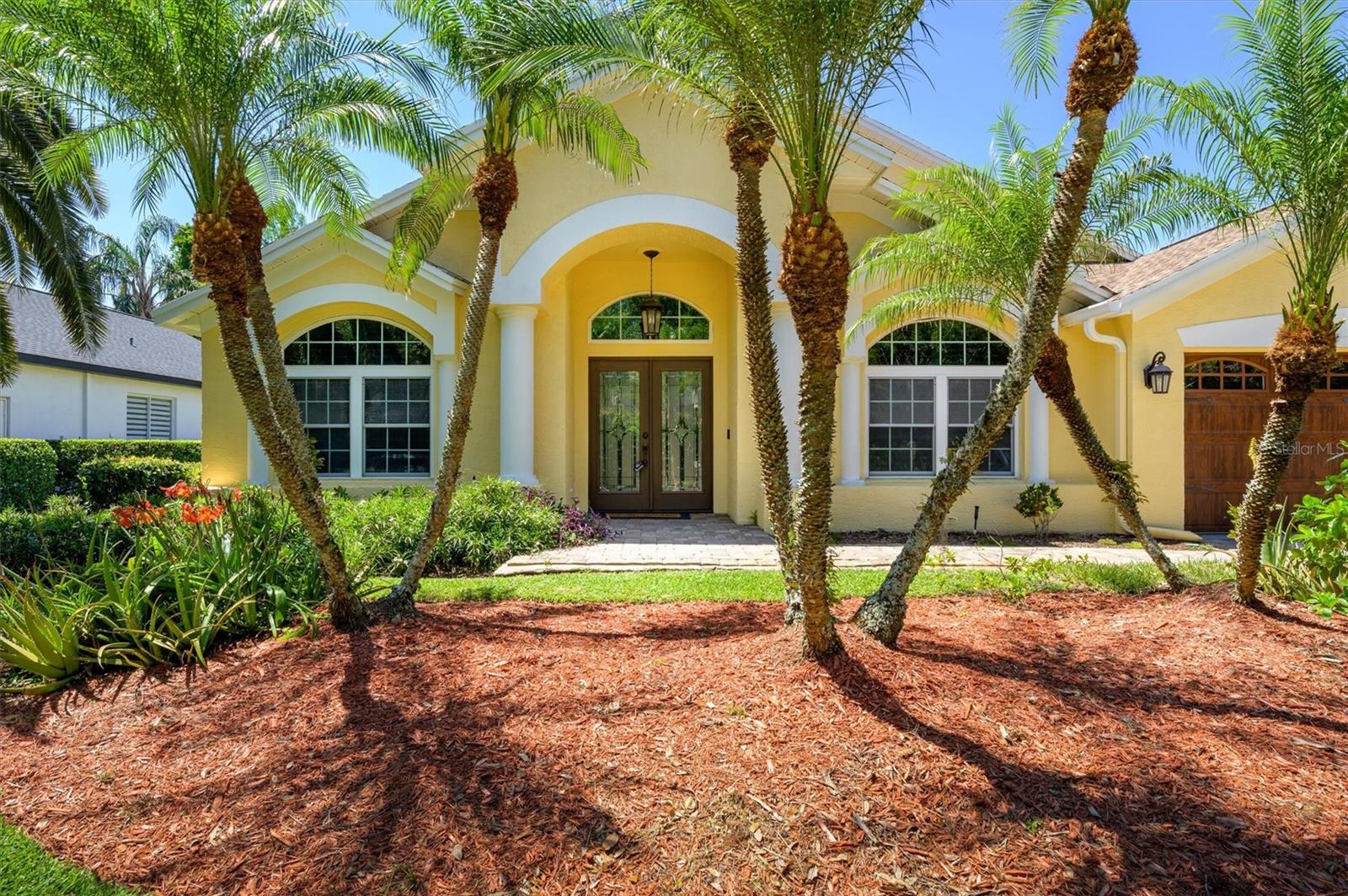 18806 CHEMILLE DR, LUTZ, FL, 33558