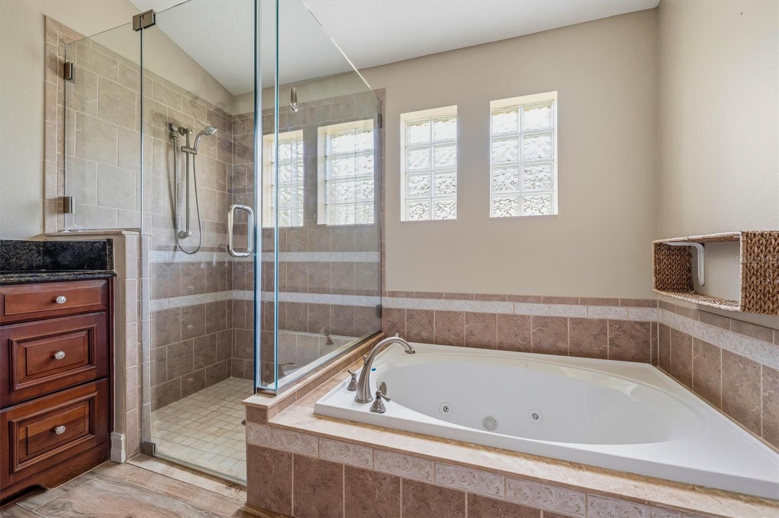 18806 CHEMILLE DR, LUTZ, FL, 33558