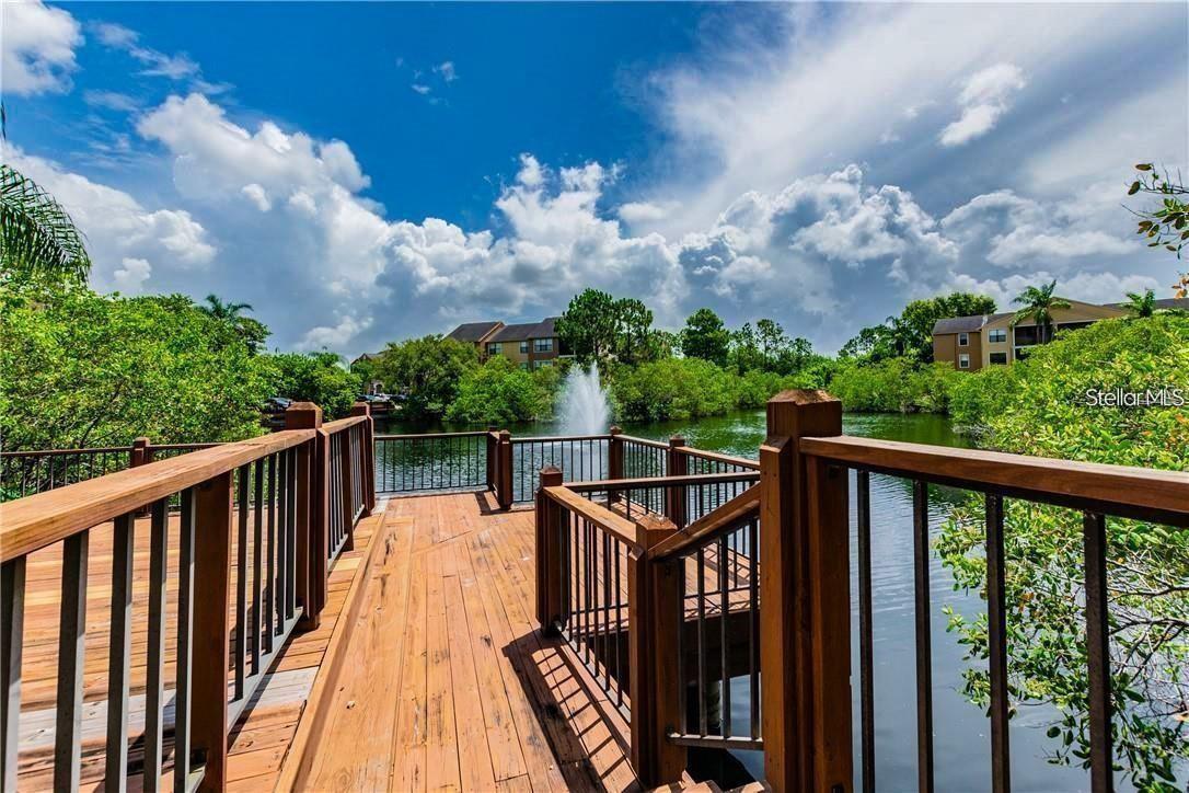 11901 4TH ST N #11105, ST PETERSBURG, FL, 33716