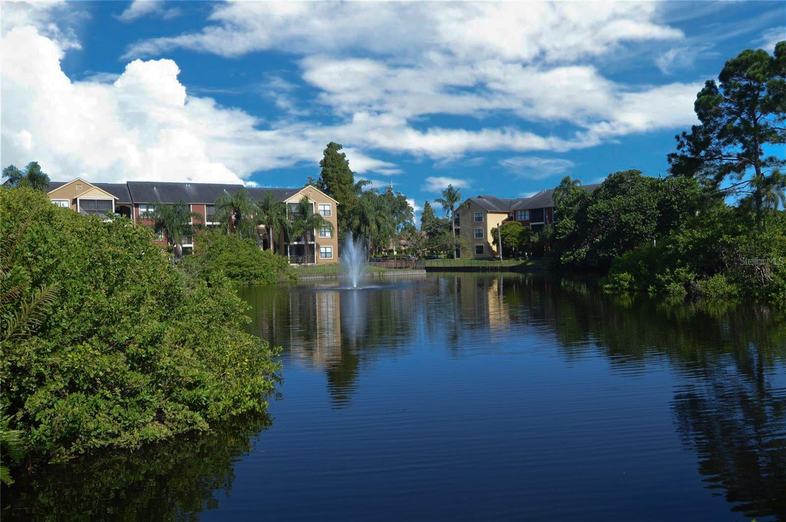 11901 4TH ST N #11105, ST PETERSBURG, FL, 33716