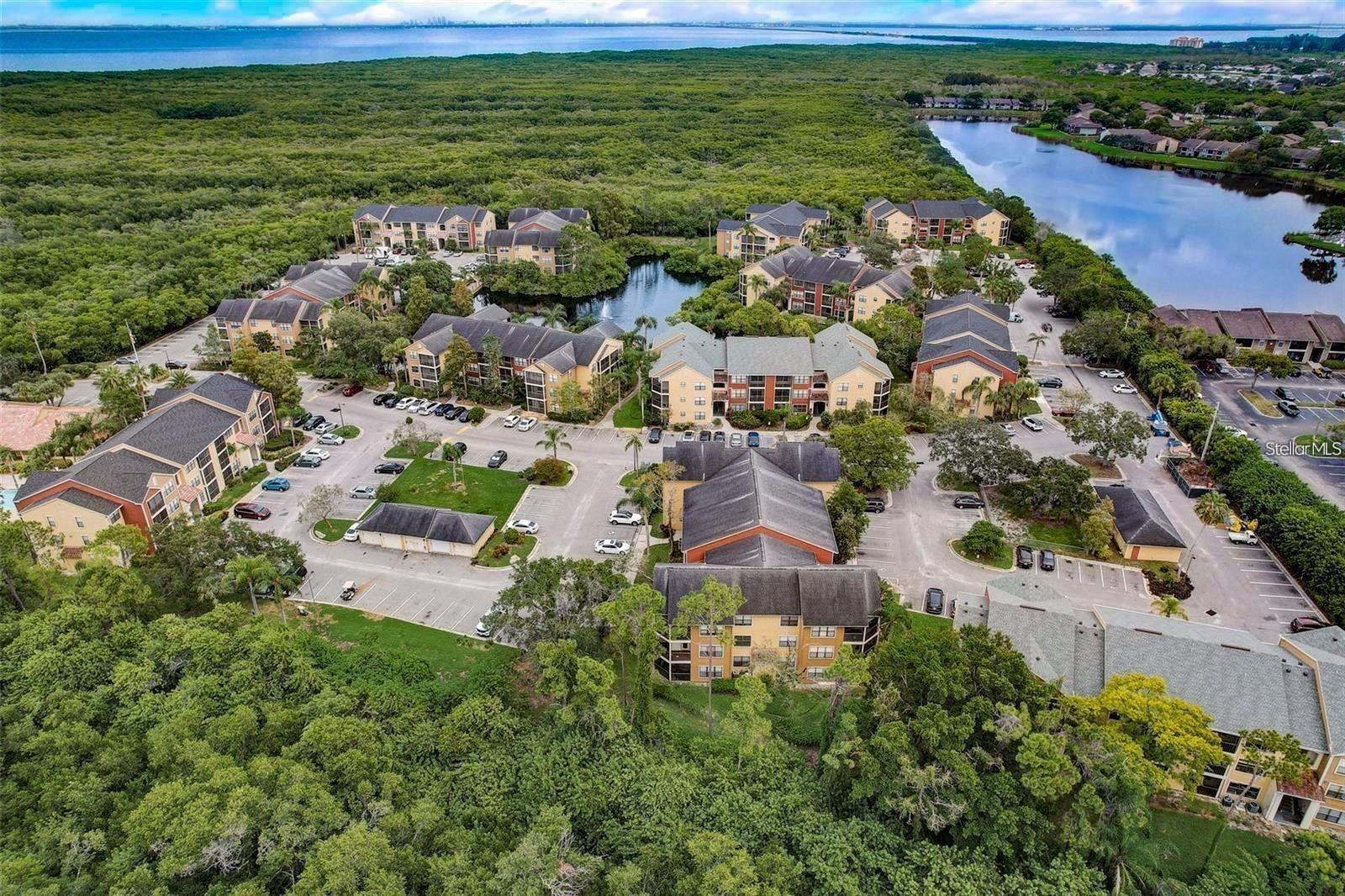 11901 4TH ST N #11105, ST PETERSBURG, FL, 33716