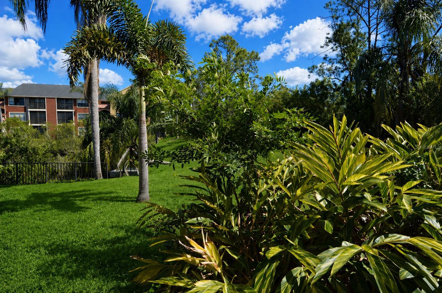 11901 4TH ST N #11105, ST PETERSBURG, FL, 33716