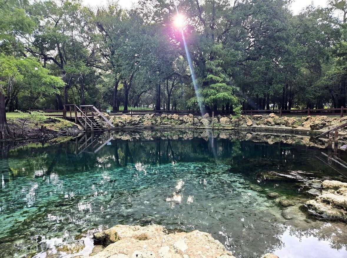 9061 KATHERINE WAY, FANNING SPRINGS, FL, 32693