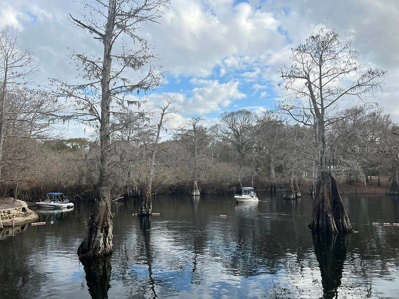 9061 KATHERINE WAY, FANNING SPRINGS, FL, 32693