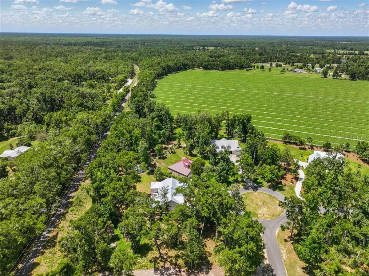 9061 KATHERINE WAY, FANNING SPRINGS, FL, 32693