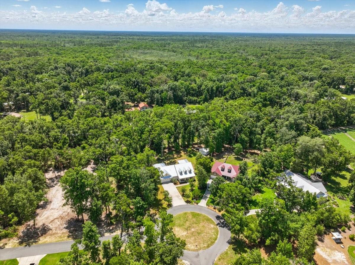 9061 KATHERINE WAY, FANNING SPRINGS, FL, 32693