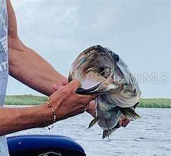 16219 NW 282ND ST, OKEECHOBEE, FL, 34972