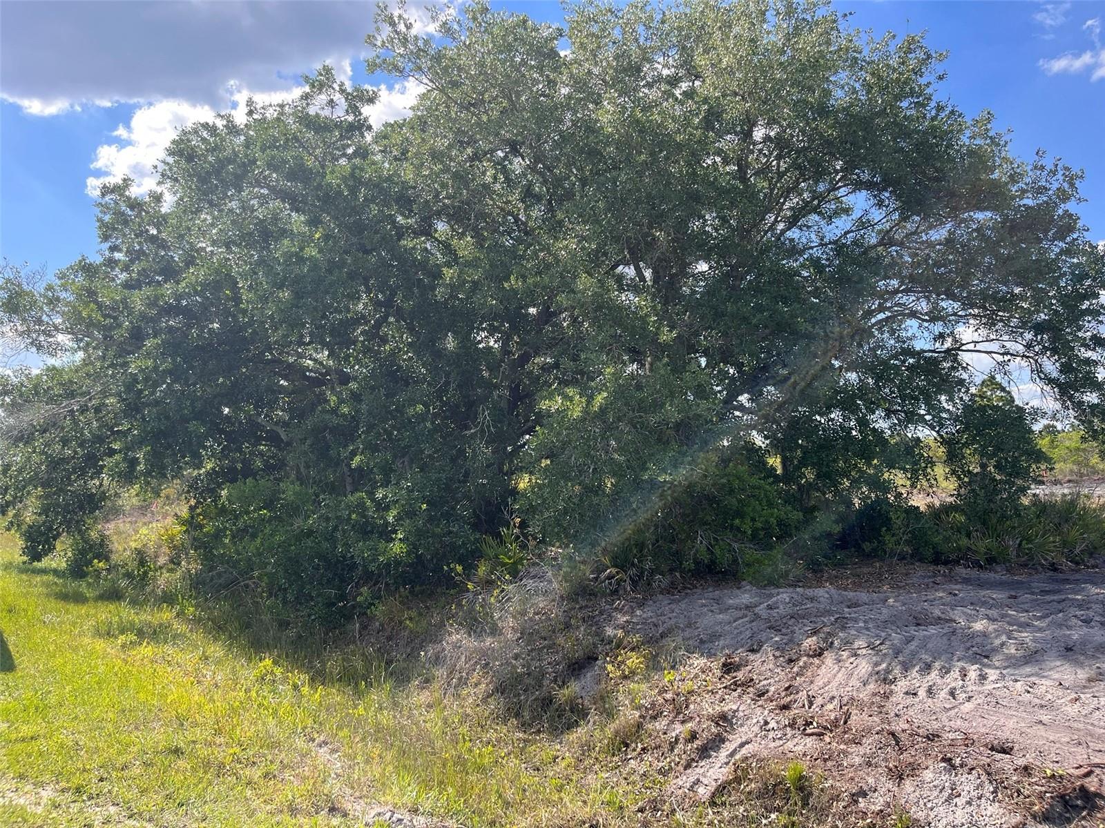 16219 NW 282ND ST, OKEECHOBEE, FL, 34972