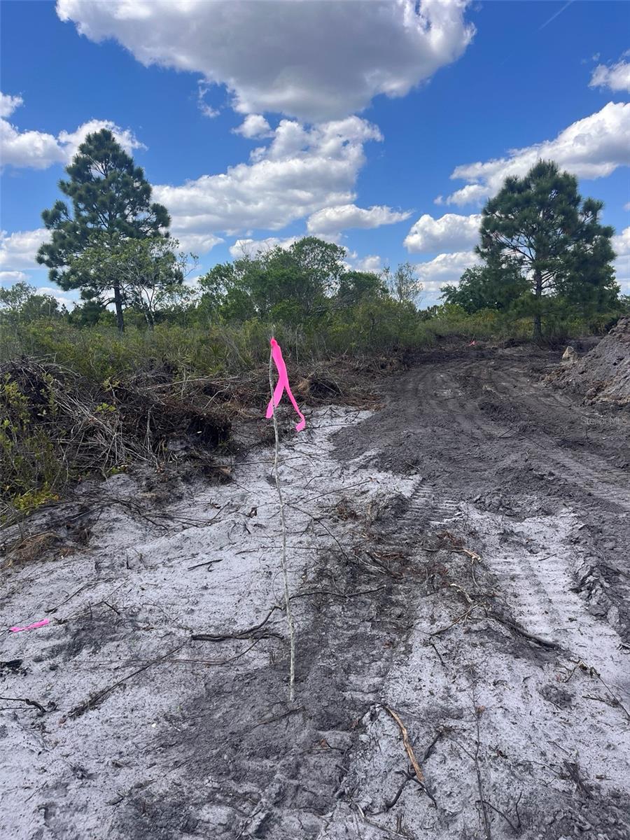 16219 NW 282ND ST, OKEECHOBEE, FL, 34972