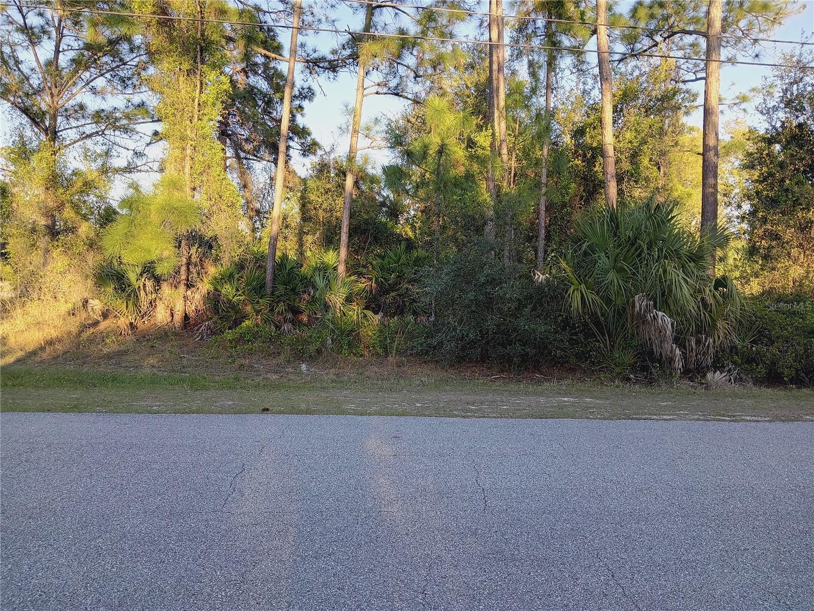 Lot 1 TROPICAIRE BLVD, NORTH PORT, FL, 34291