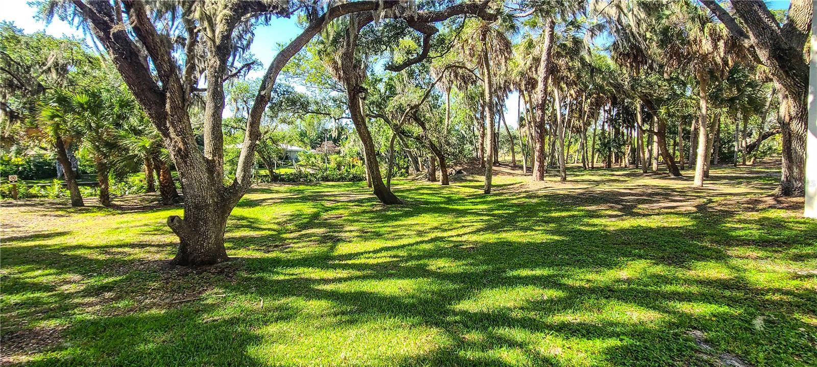 2749 ORCHID OAKS DR #302, SARASOTA, FL, 34239