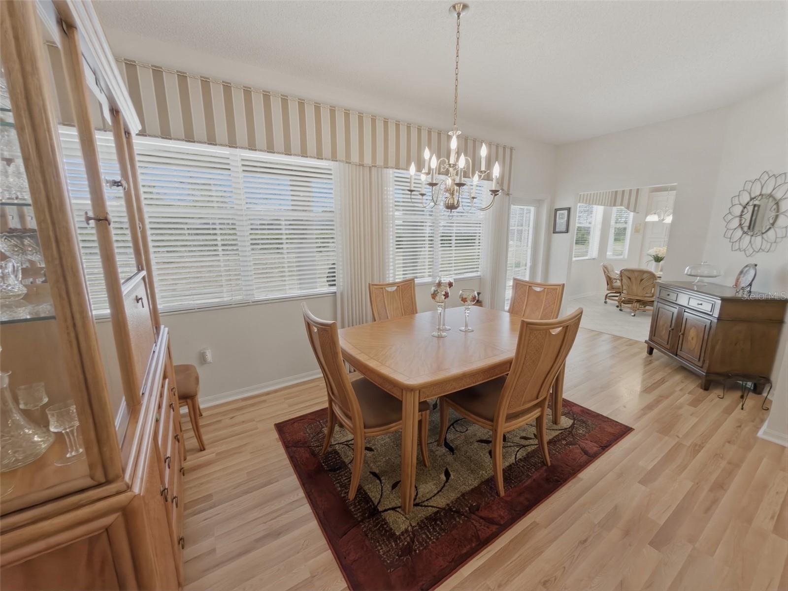 18744 BELLEVISTA CT, HUDSON, FL, 34667