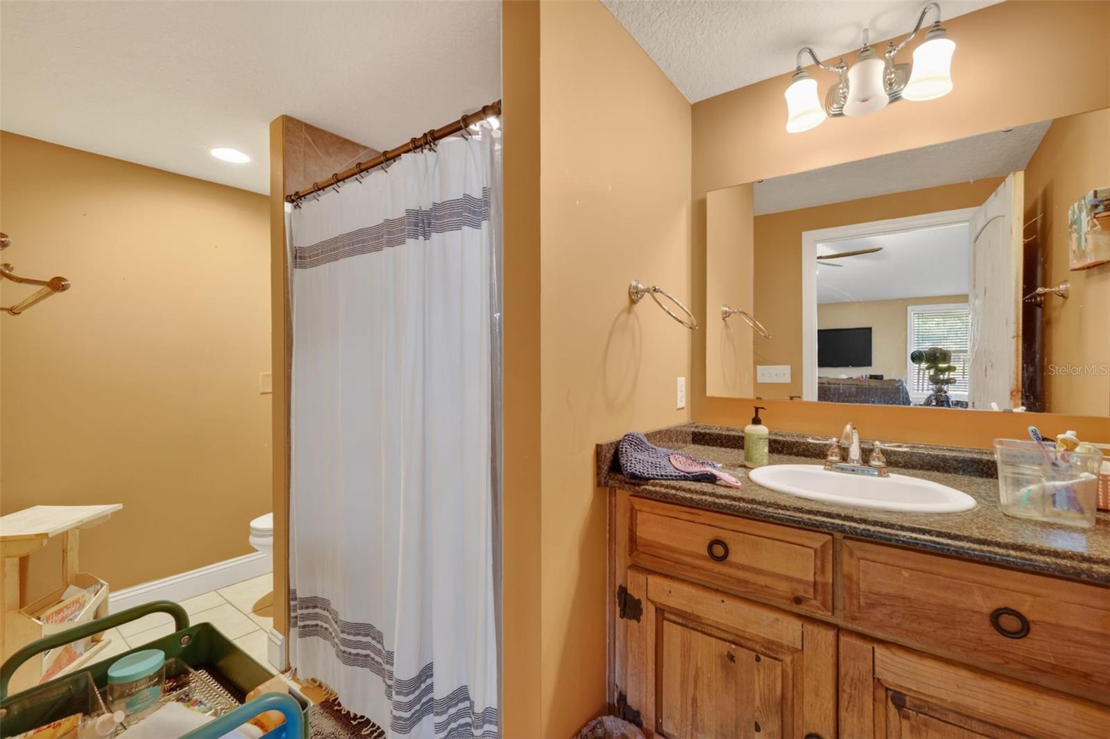 5713 LAKE ST, MOUNT DORA, FL, 32757