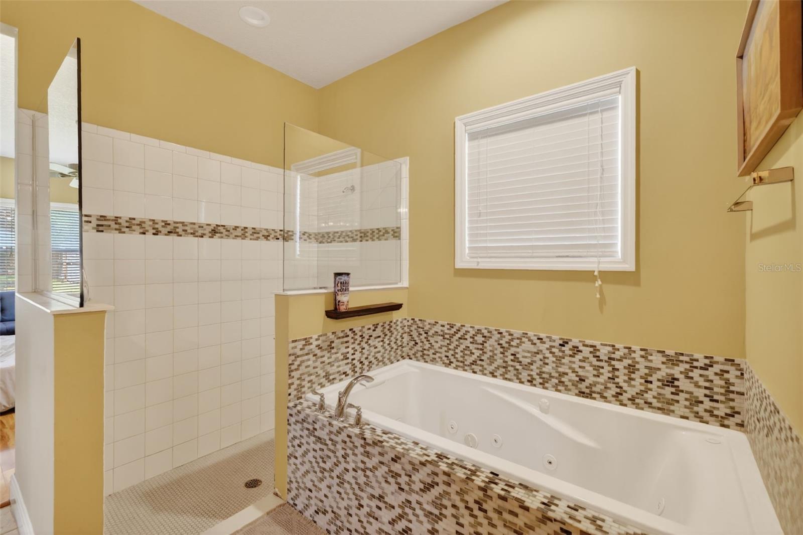 5713 LAKE ST, MOUNT DORA, FL, 32757