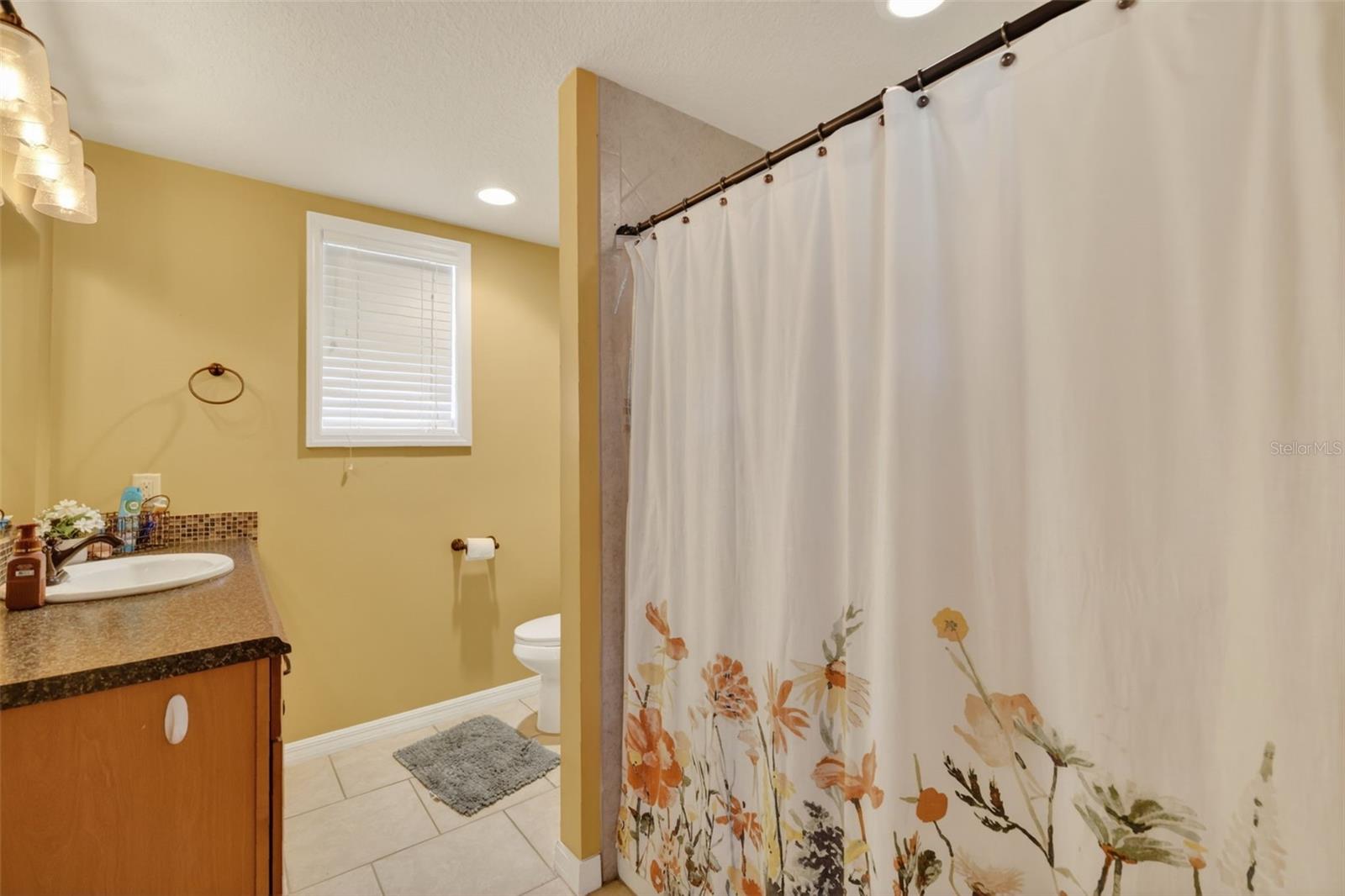 5713 LAKE ST, MOUNT DORA, FL, 32757