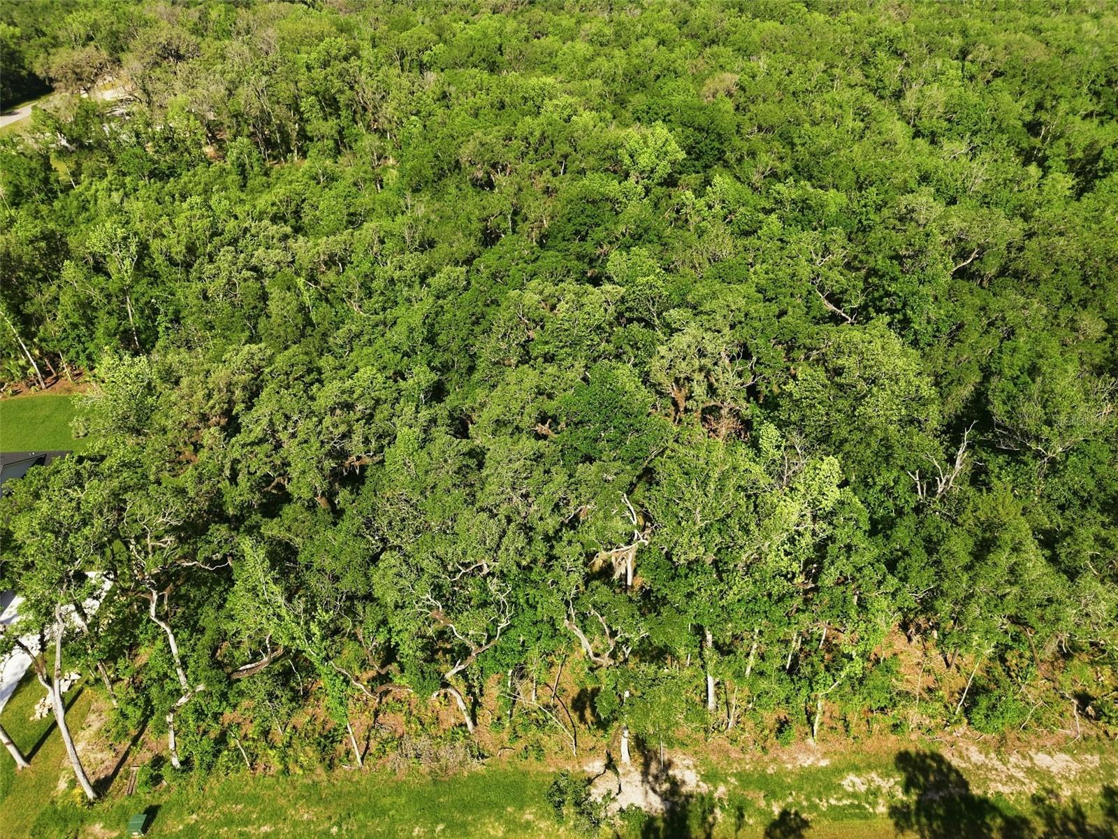 REPUBLICAN WAY, BROOKSVILLE, FL, 34601