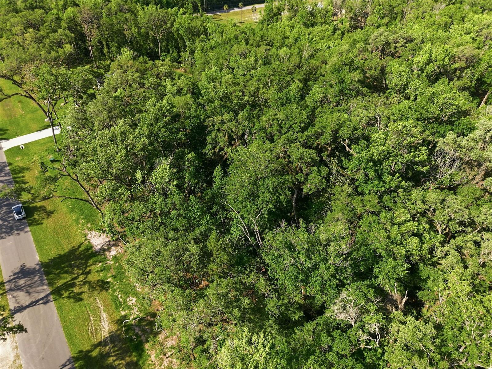 REPUBLICAN WAY, BROOKSVILLE, FL, 34601