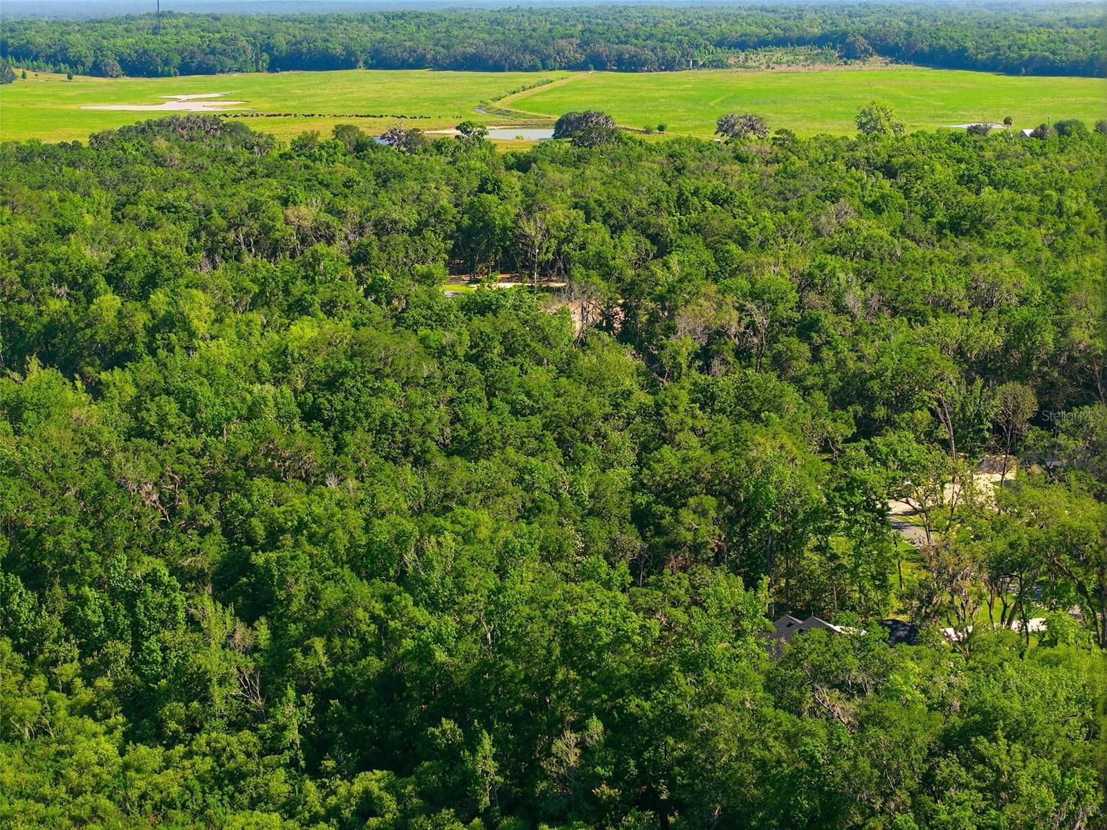 REPUBLICAN WAY, BROOKSVILLE, FL, 34601