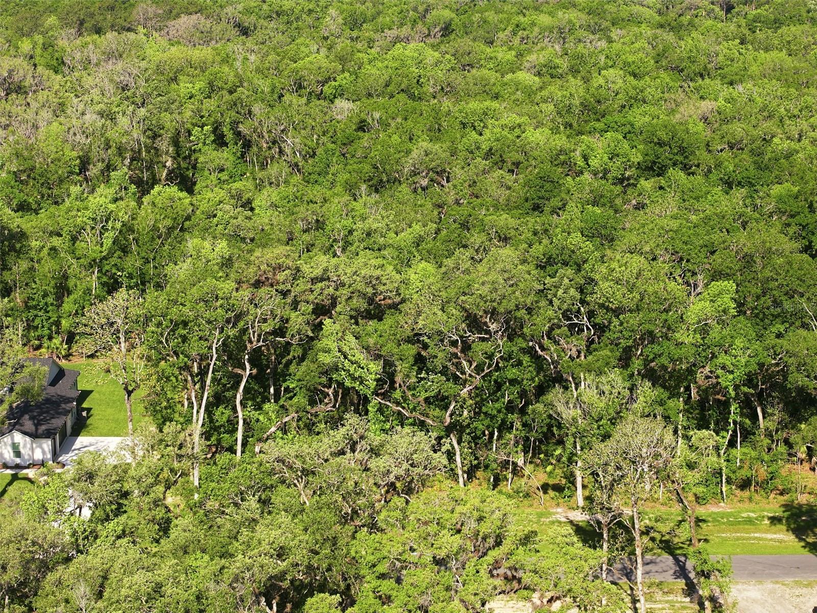 REPUBLICAN WAY, BROOKSVILLE, FL, 34601