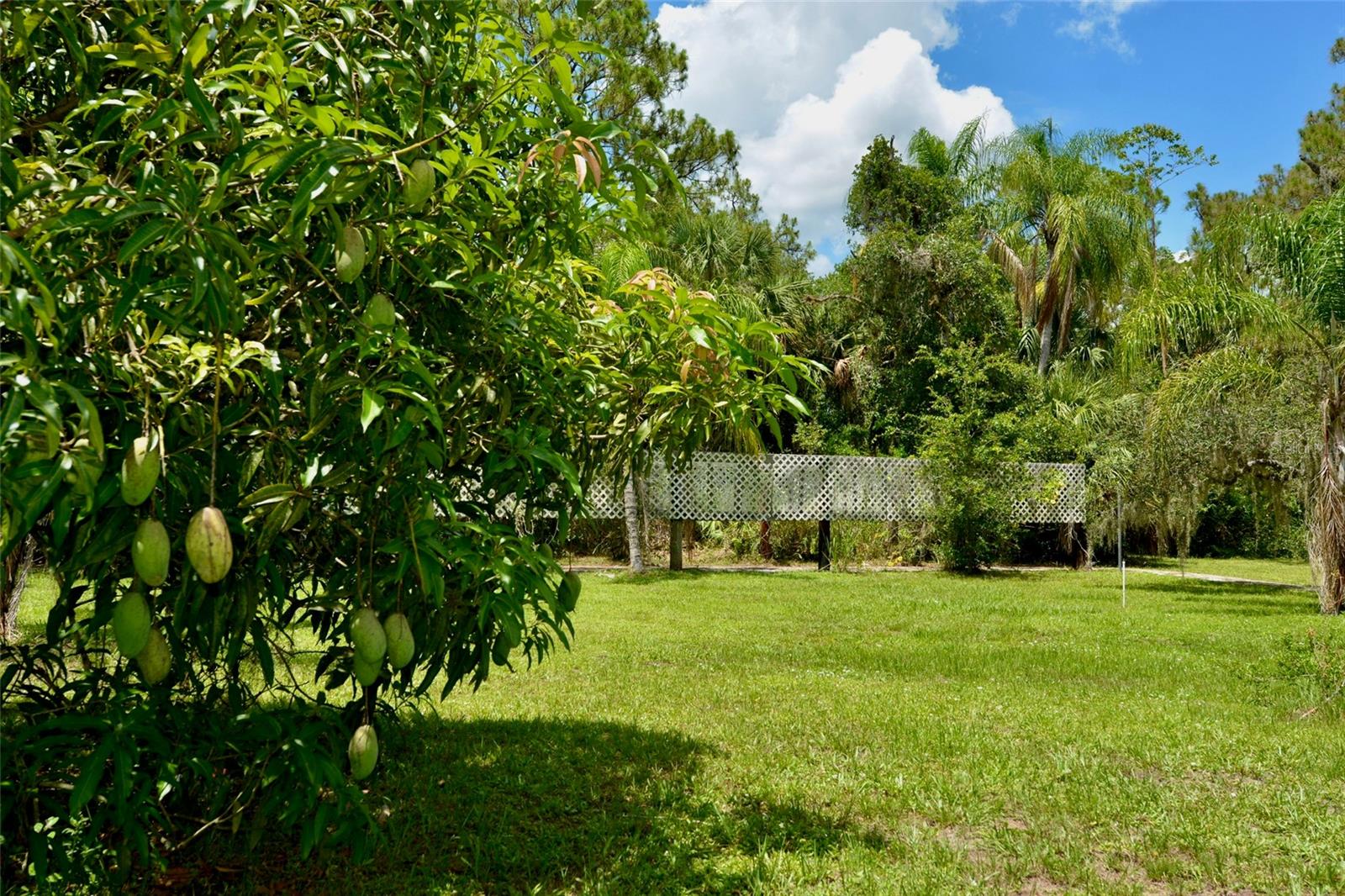 18220 ELMWOOD DR, ALVA, FL, 33920