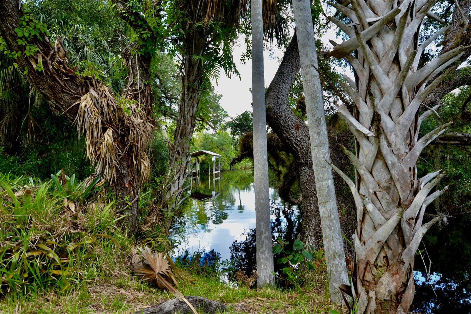 18220 ELMWOOD DR, ALVA, FL, 33920