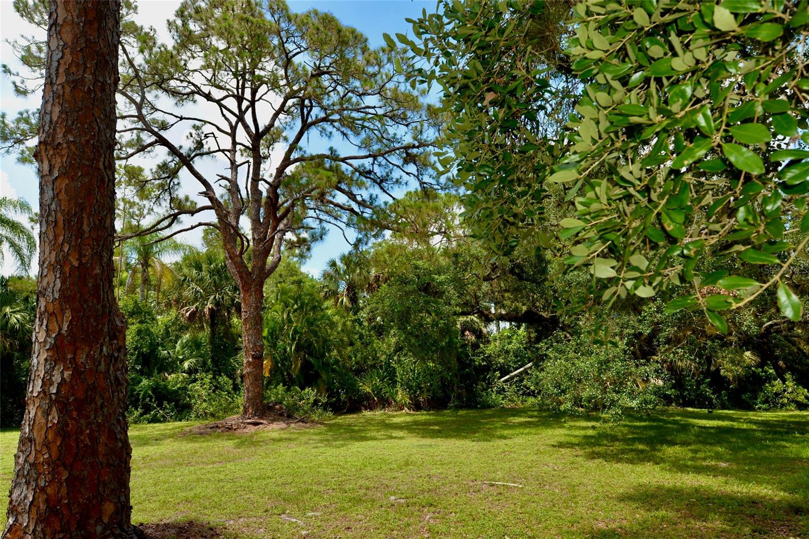 18220 ELMWOOD DR, ALVA, FL, 33920