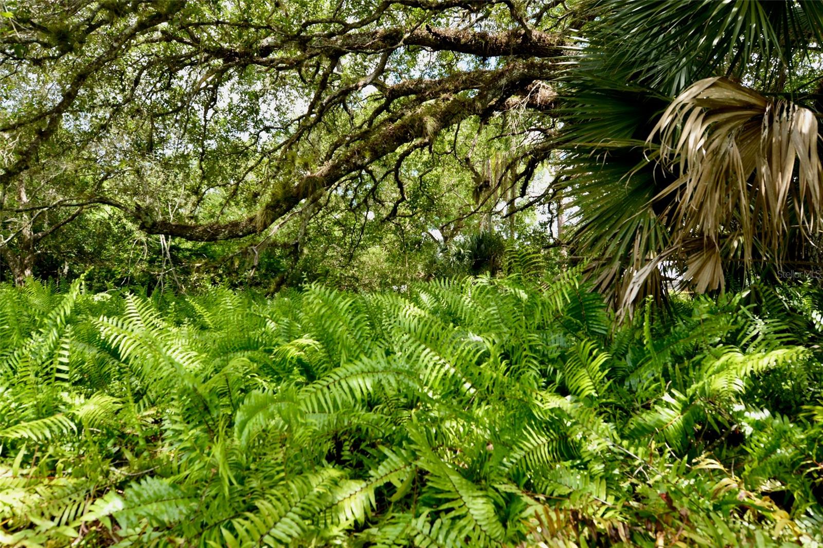 18220 ELMWOOD DR, ALVA, FL, 33920