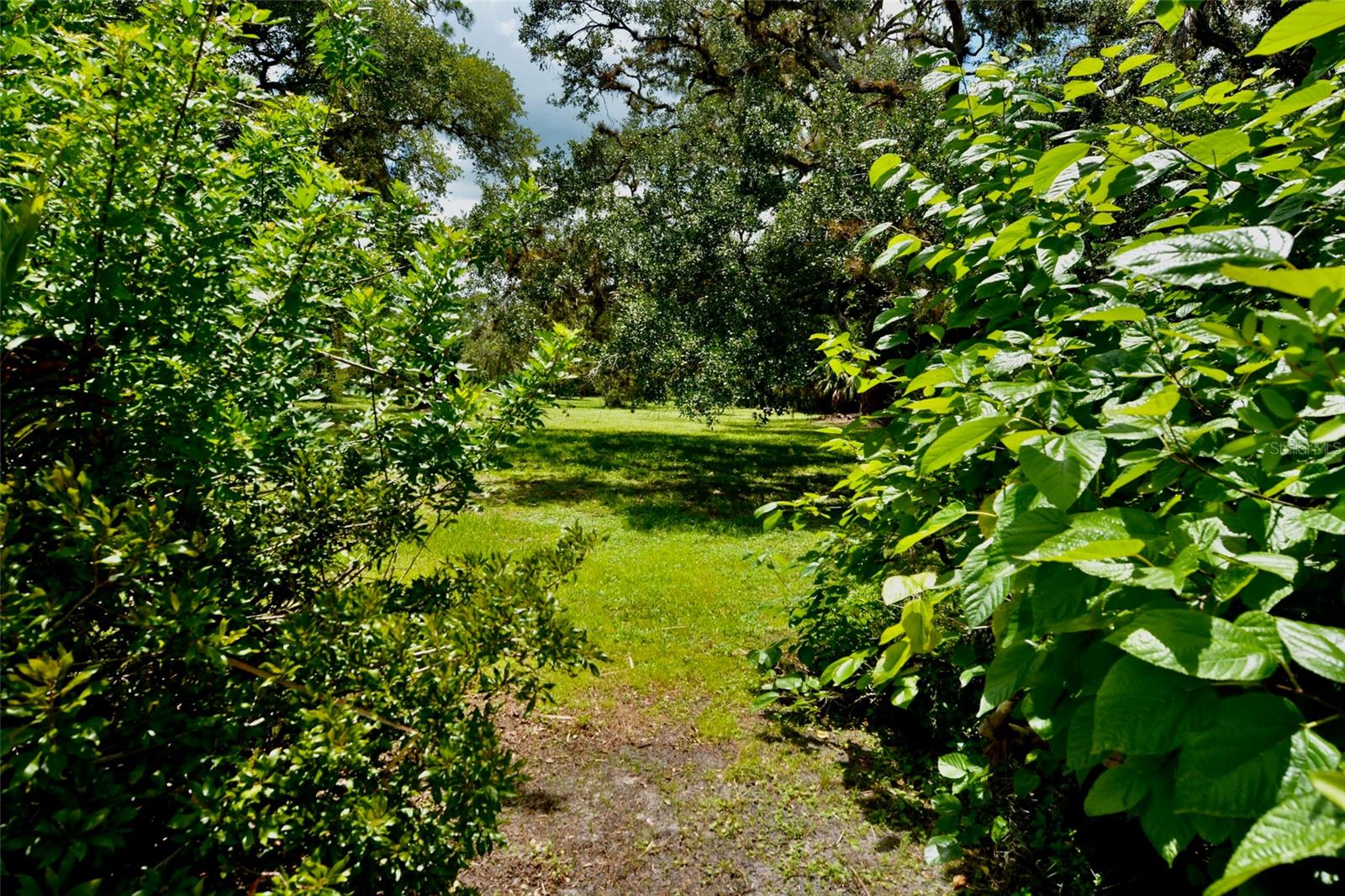 18220 ELMWOOD DR, ALVA, FL, 33920