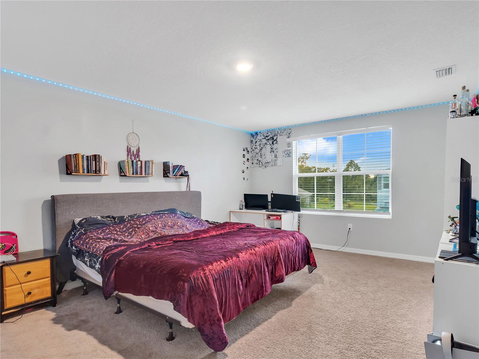 16636 WINDMILL FORGE PASS, WIMAUMA, FL, 33598