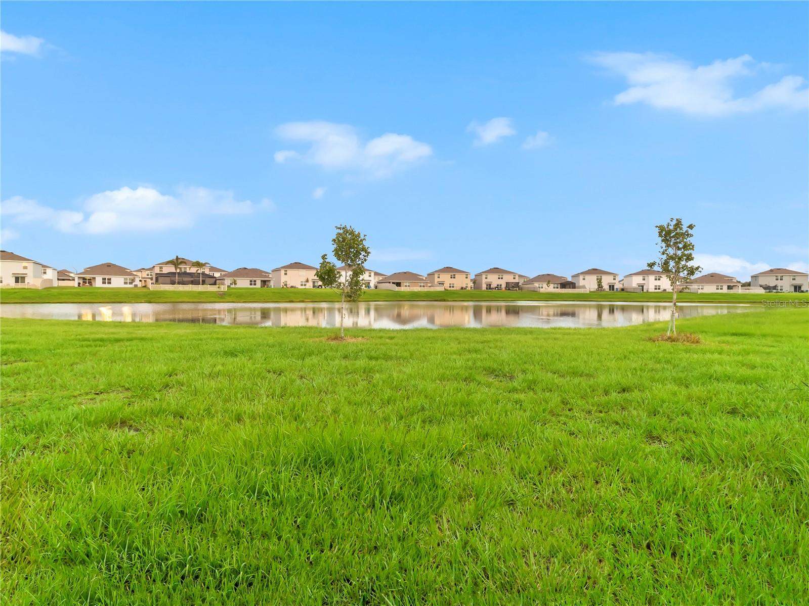 16636 WINDMILL FORGE PASS, WIMAUMA, FL, 33598