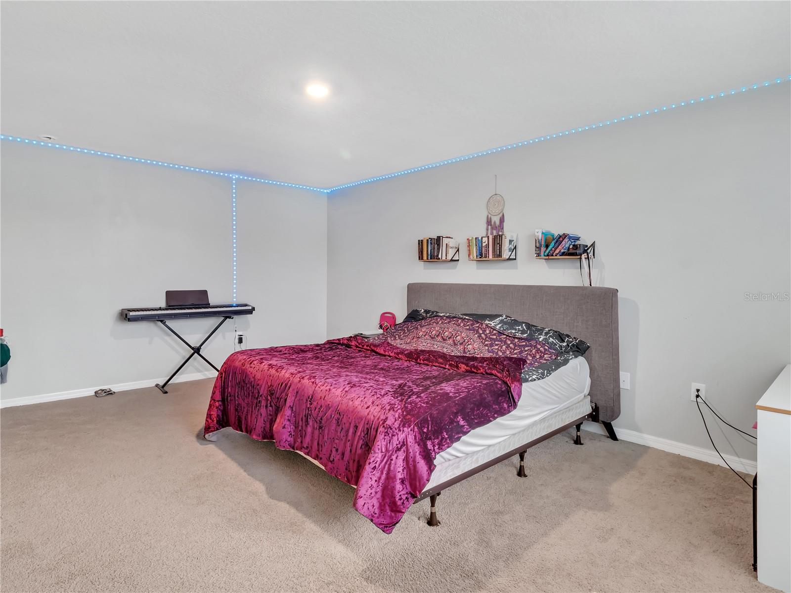 16636 WINDMILL FORGE PASS, WIMAUMA, FL, 33598