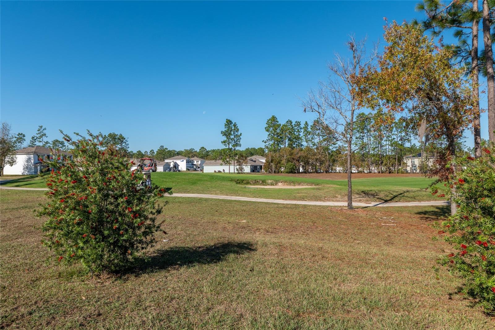 149 HICKORY COURSE CIR, OCALA, FL, 34472