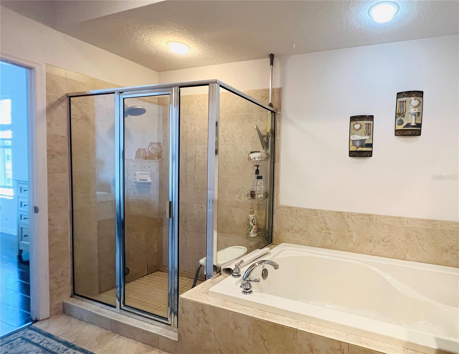 642 WELLS CT #201, CLEARWATER, FL, 33756