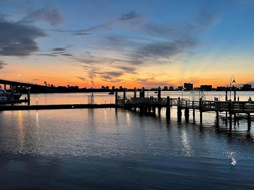 642 WELLS CT #201, CLEARWATER, FL, 33756