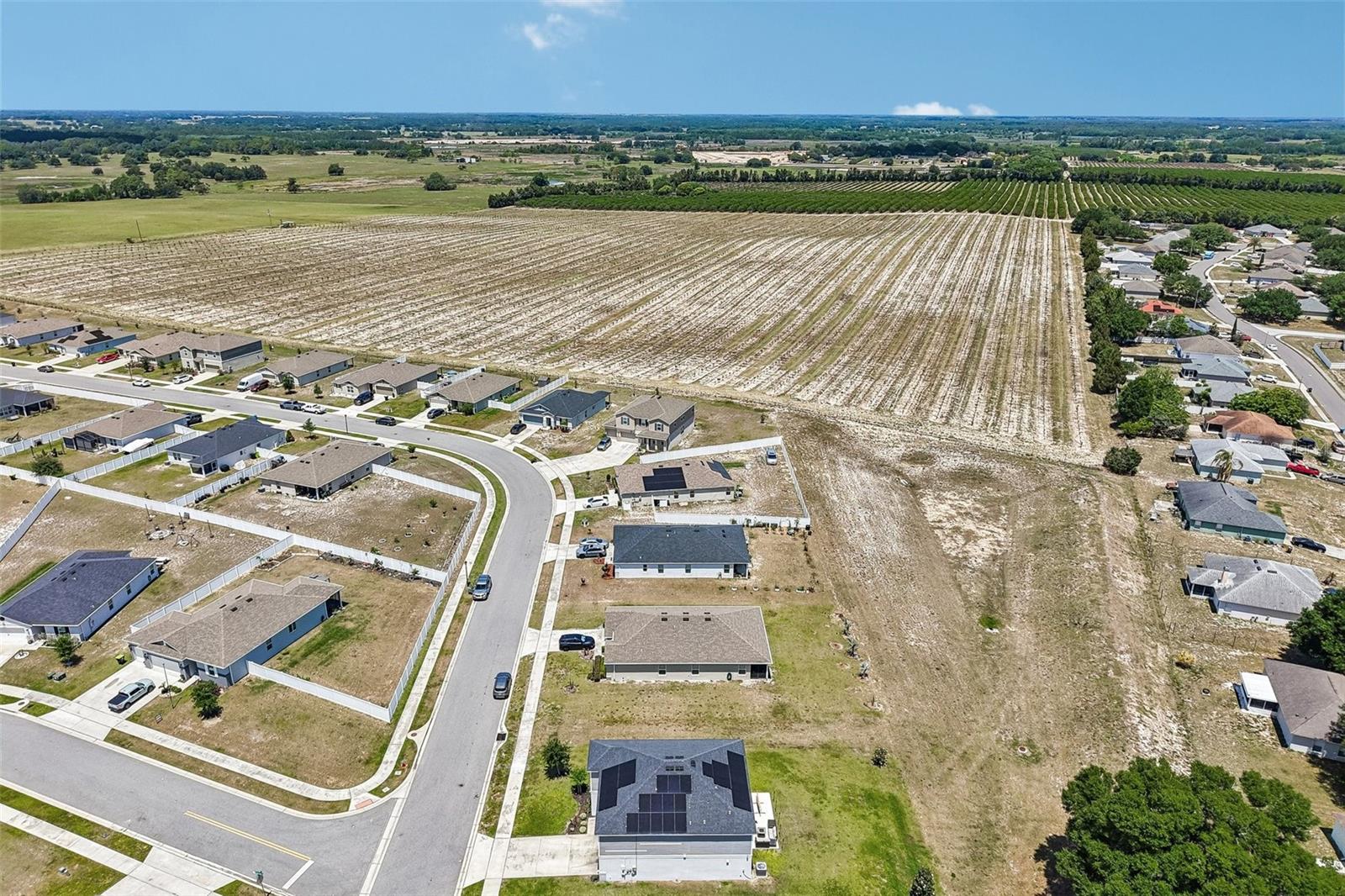 2082 FICUS ST, MASCOTTE, FL, 34753