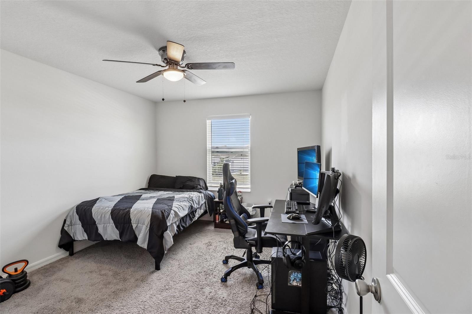 2082 FICUS ST, MASCOTTE, FL, 34753