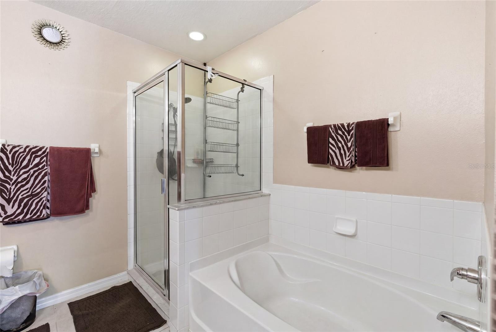 9603 CARLSDALE DR, RIVERVIEW, FL, 33578