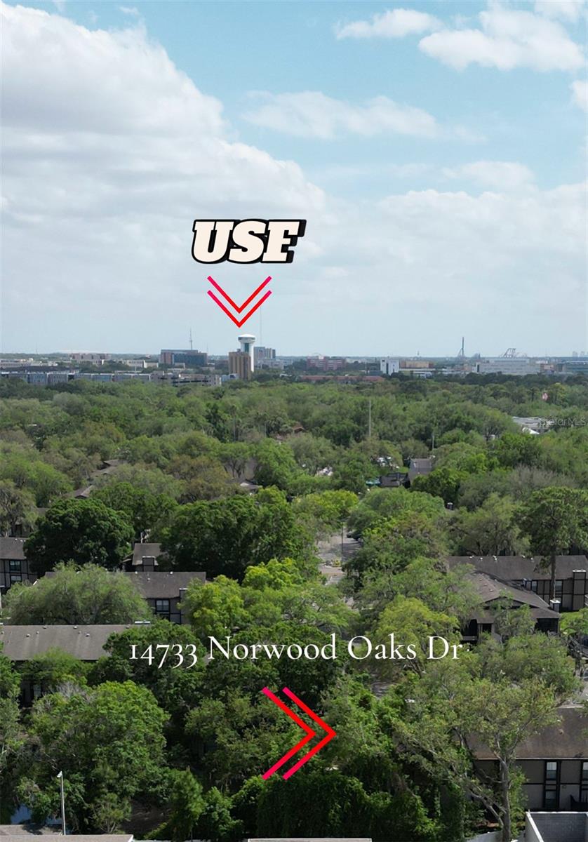 14733 NORWOOD OAKS DR #201, TAMPA, FL, 33613