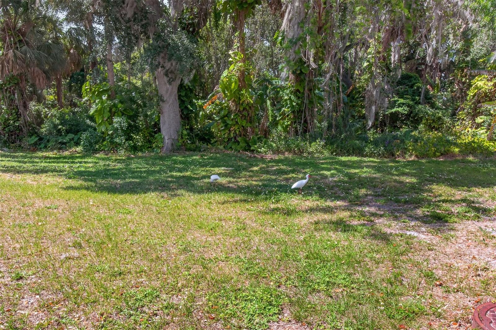 3609 LUMA DR, HOLIDAY, FL, 34691