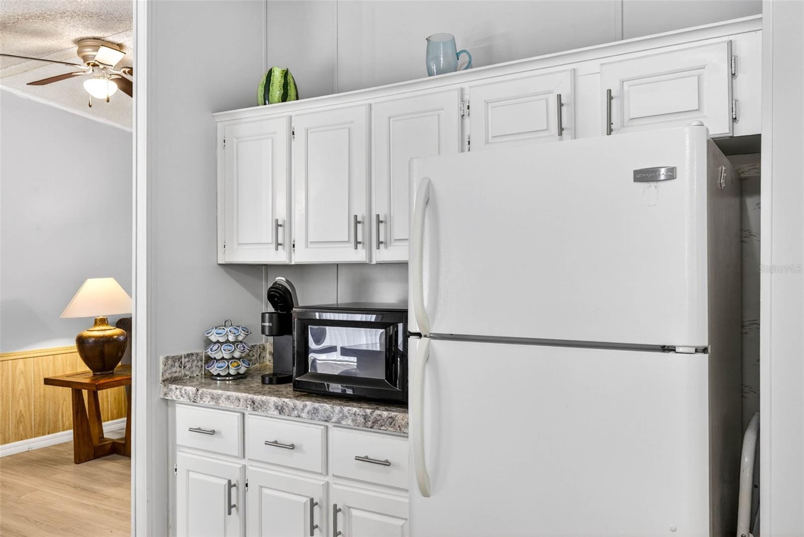 8552 W PEACOCK CT, HOMOSASSA, FL, 34448