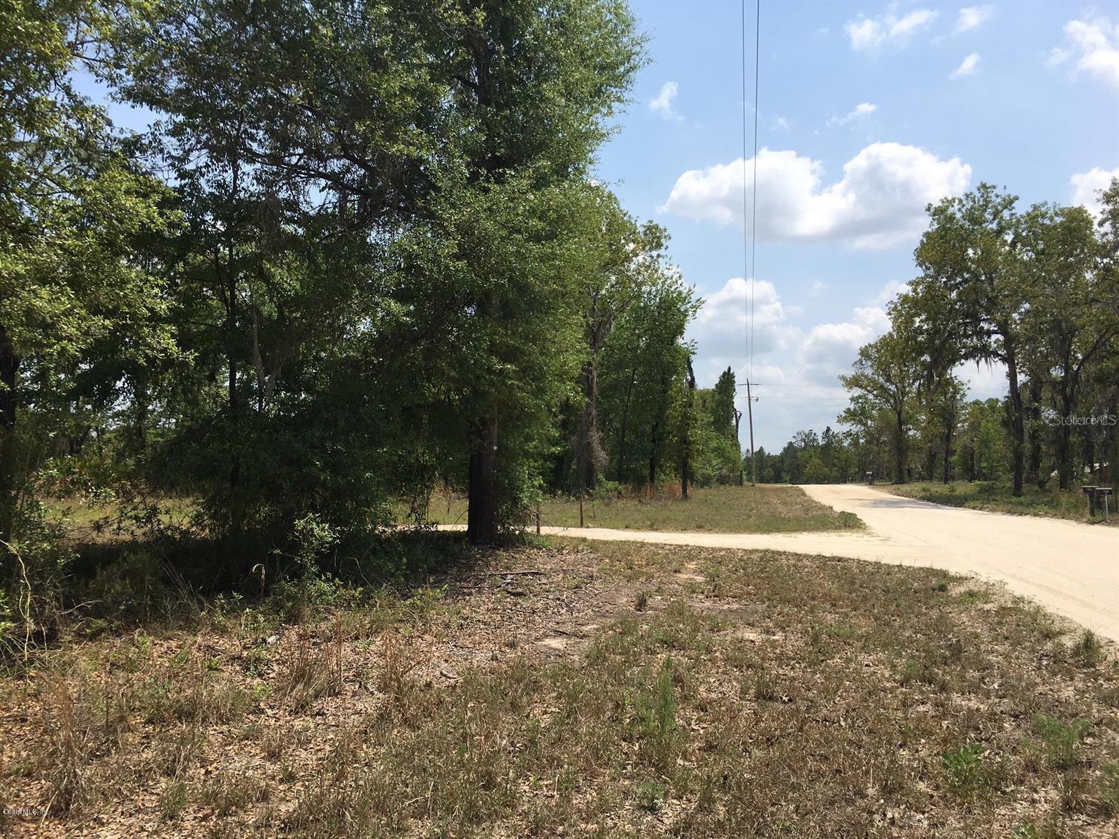 7231 NE 136TH AVE, WILLISTON, FL, 32696