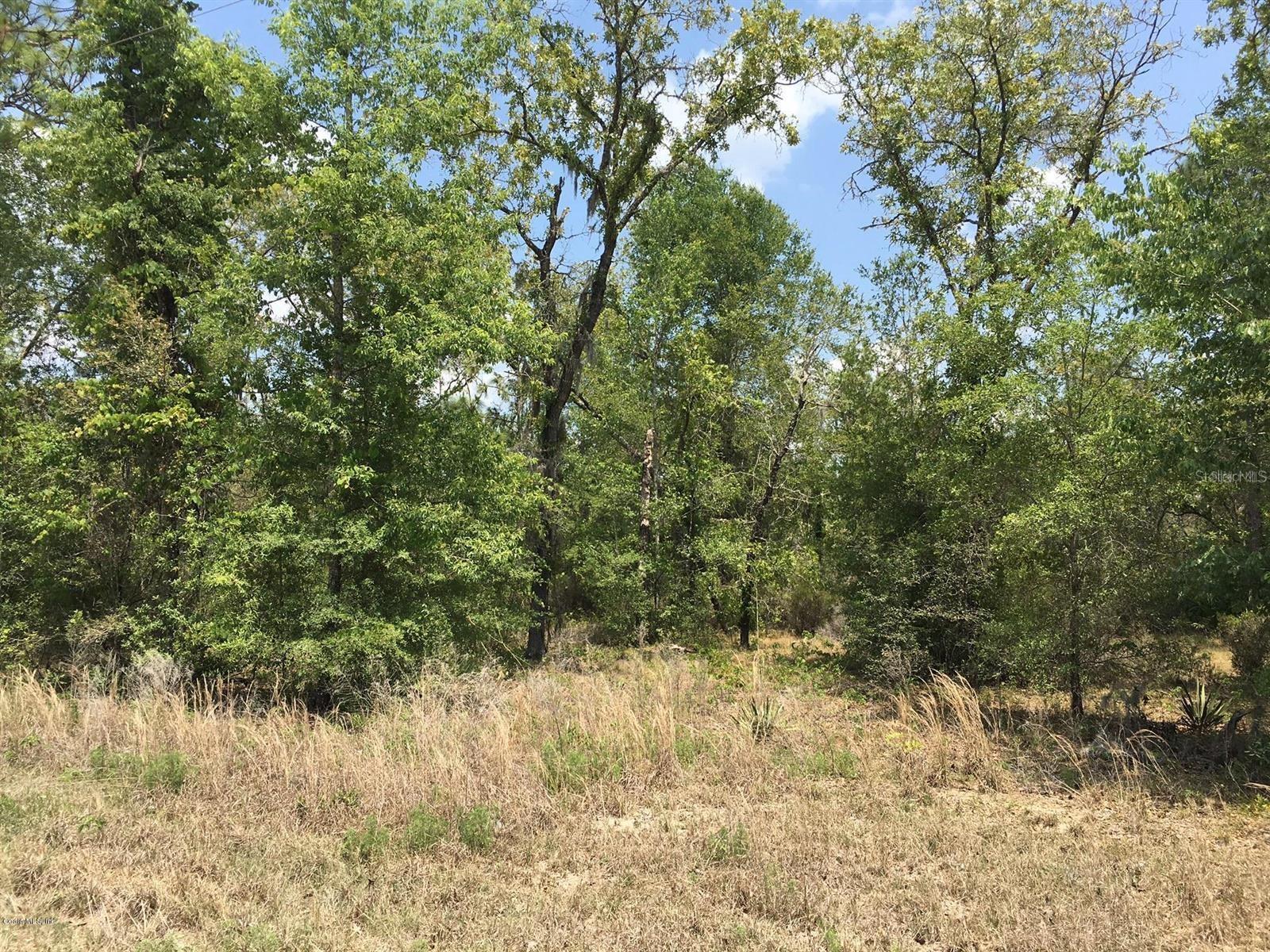 7231 NE 136TH AVE, WILLISTON, FL, 32696