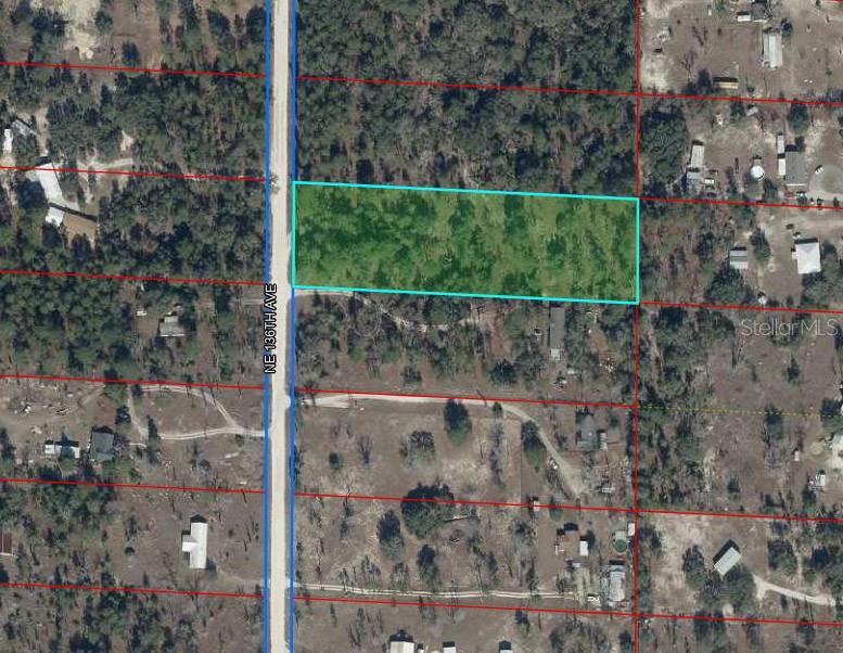 7231 NE 136TH AVE, WILLISTON, FL, 32696