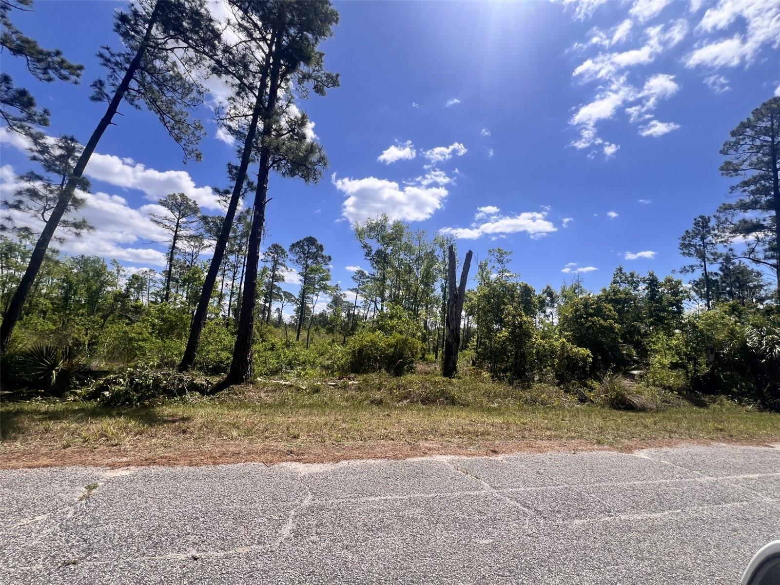 BANYAN ST #Unit No. 1, EUSTIS, FL, 32736