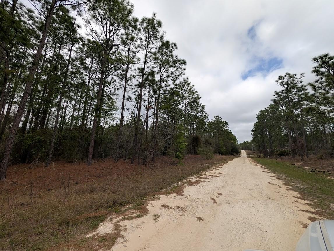 6200 SW 128TH TERRACE RD, OCALA, FL, 34481