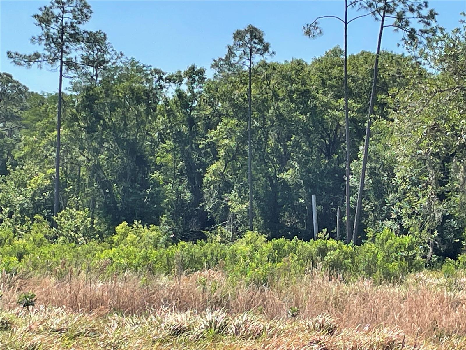 AVONWOOD, TAMPA, FL, 33625