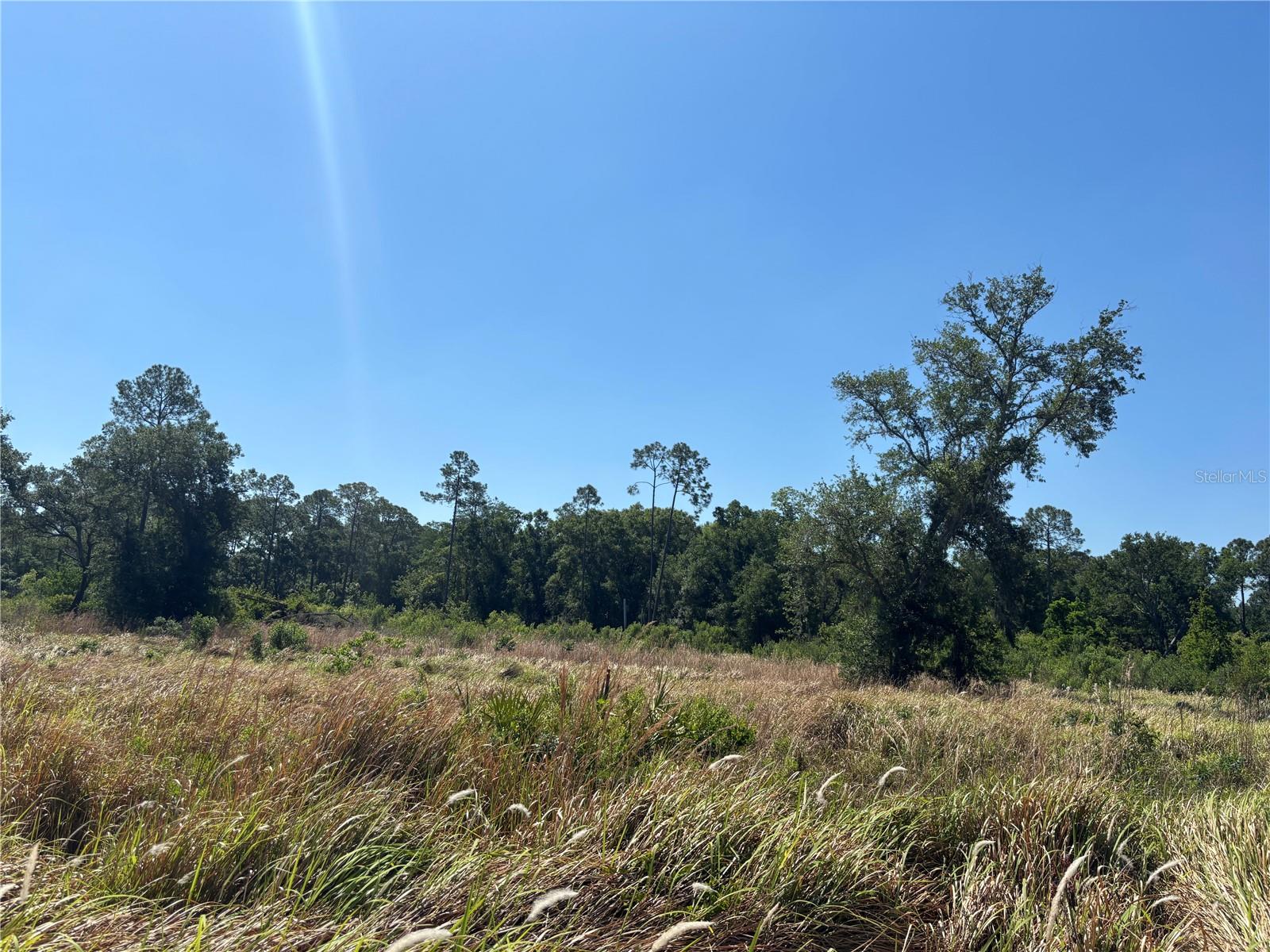 AVONWOOD, TAMPA, FL, 33625