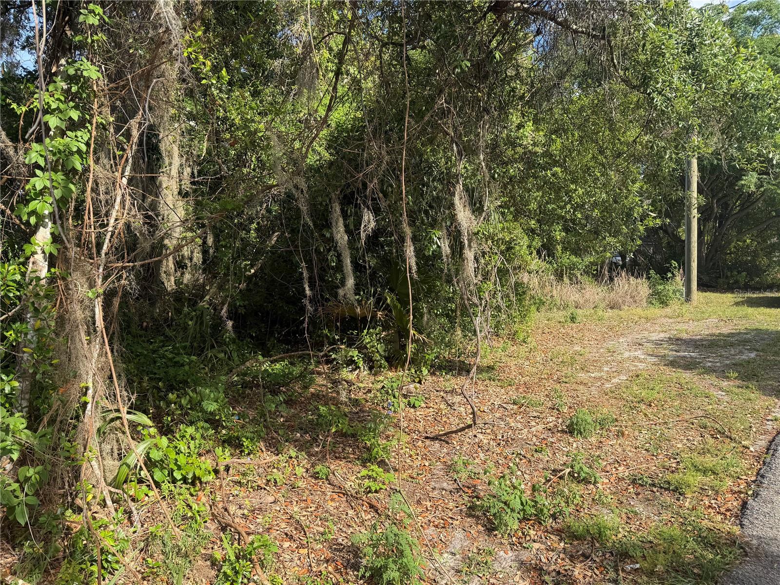 246 LAGO VISTA ST, DEBARY, FL, 32713